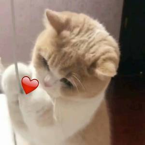 幼女自慰网站网址入口免费观看
